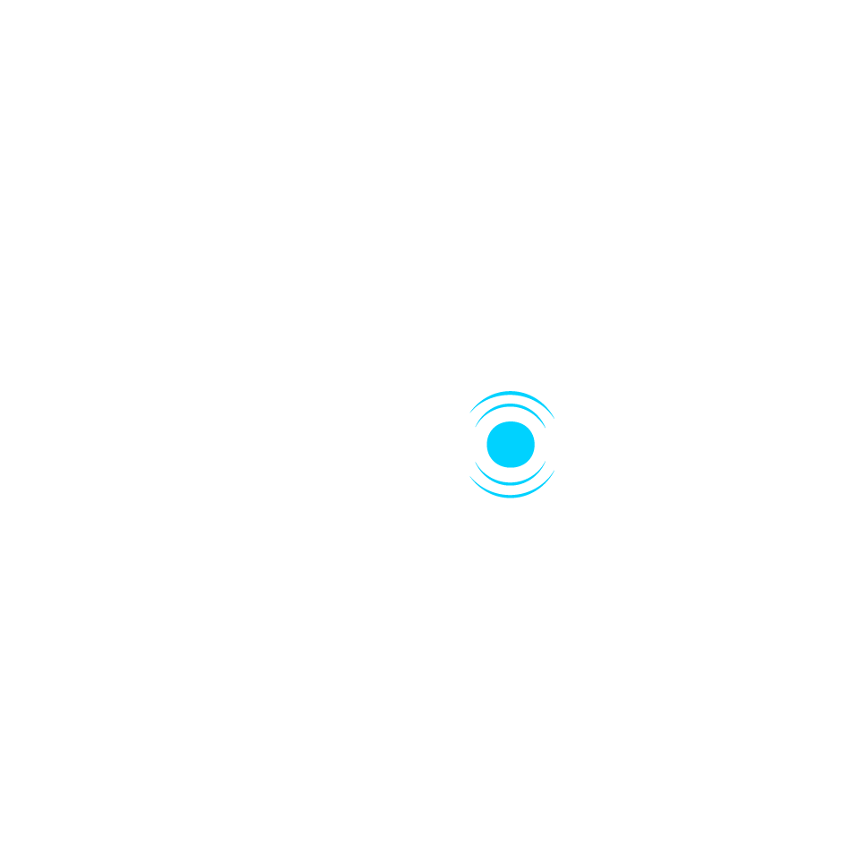 DISRUPT PAD II logo