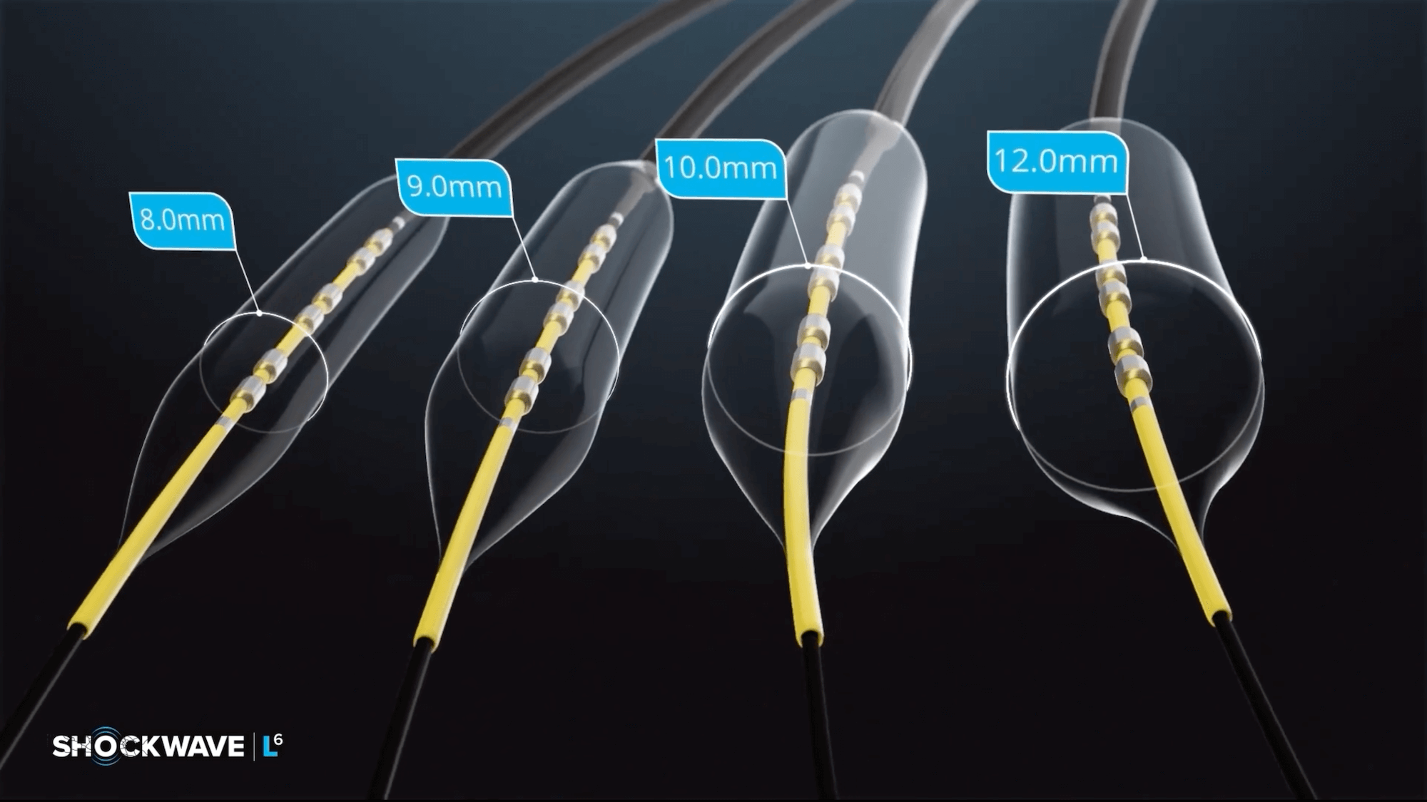 Shockwave L6 IVL Animation