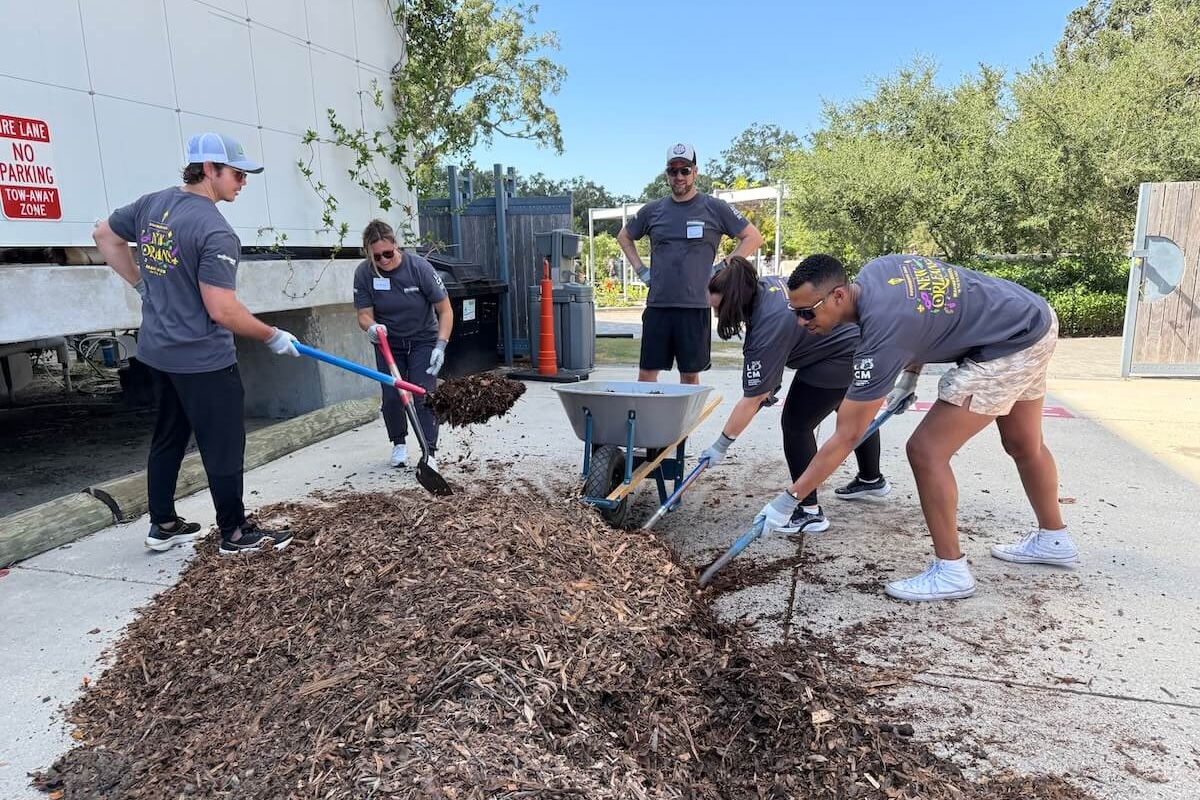 Seven volunteers shoveling mulch outside
